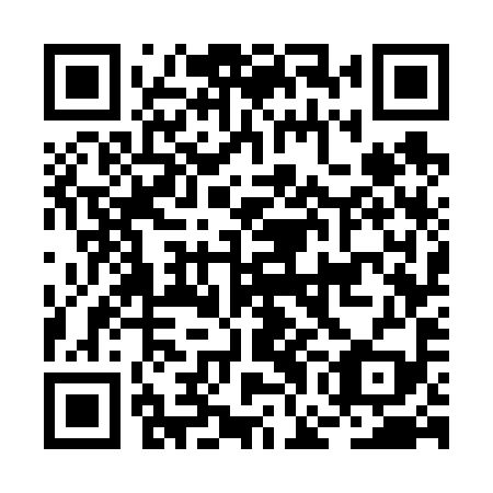 QR code for BGG699