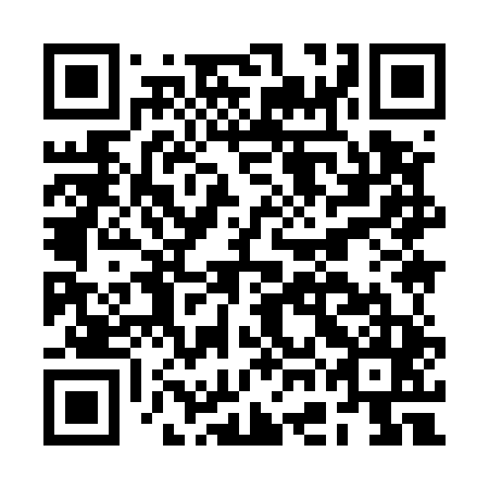 QR code for BGI 545