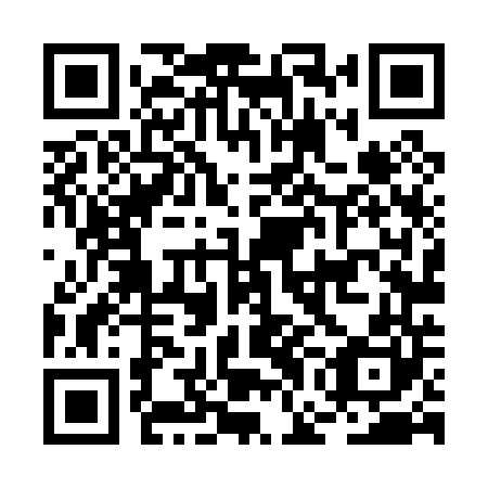 QR code for plate BGL 040