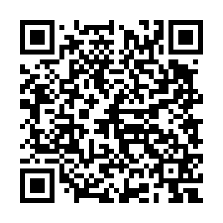 QR code for BGT 461