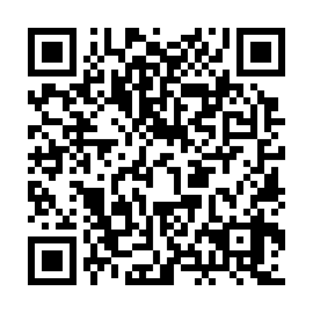 QR code for plate BHO 338