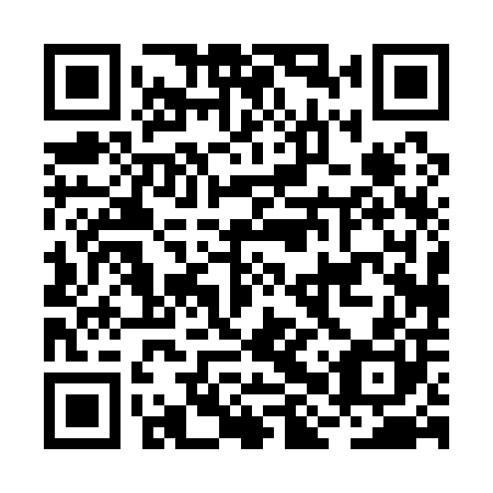 QR code for BHP 100