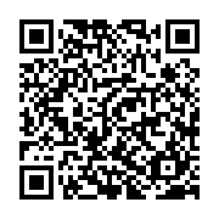 QR code for plate BHX 124