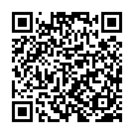 QR code for plate BHX 523