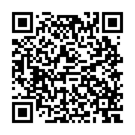 QR code for BIA 387