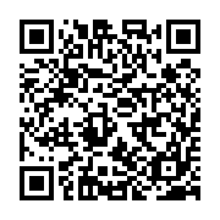 QR code for plate BIC 517