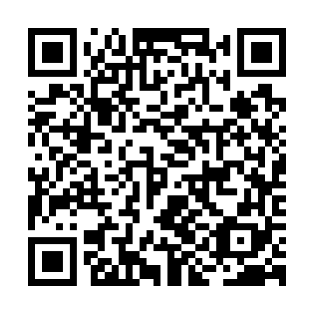QR code for plate BIC 768