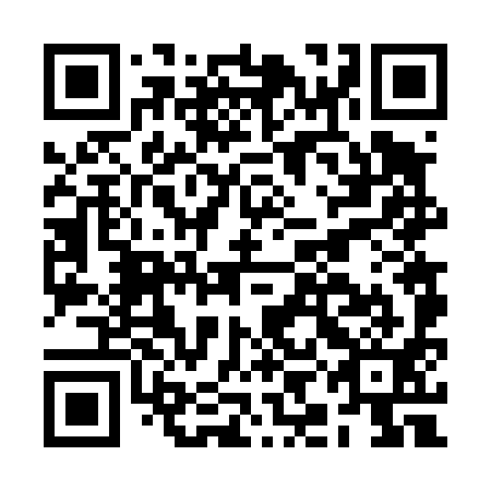 QR code for BIF 491