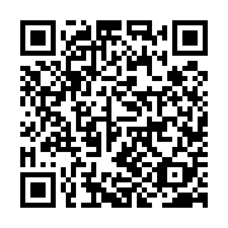 QR code for BIF 509