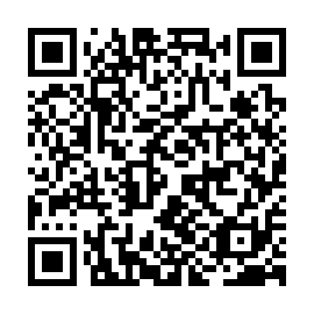 QR code for BIG 311