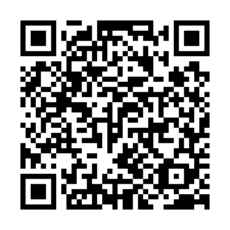 QR code for plate BIG 749