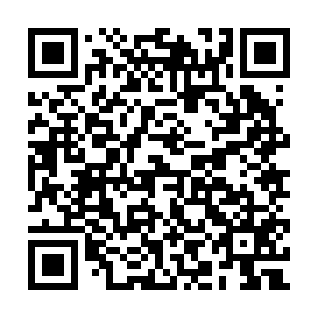 QR code for plate BIJ 255