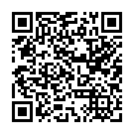 QR code for plate BIL 381