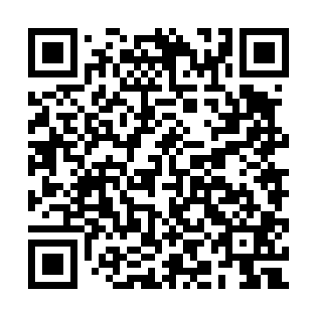 QR code for BIN401