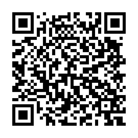 QR code for BIQ 463