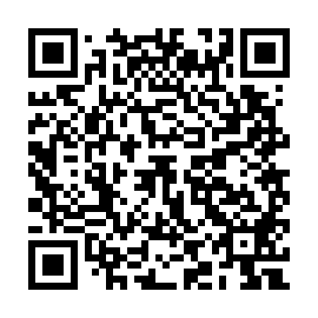 QR code for plate BIR 788
