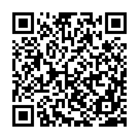 QR code for BIR876