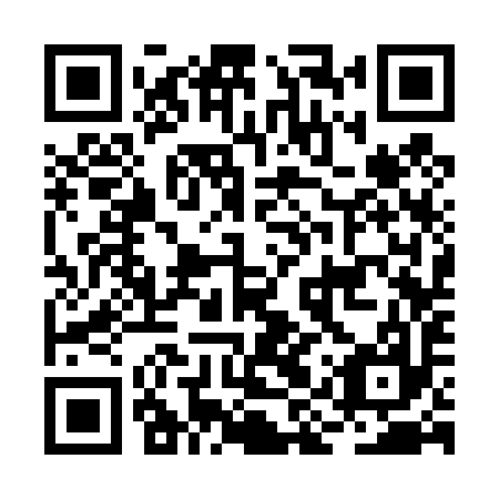 QR code for BIS 497