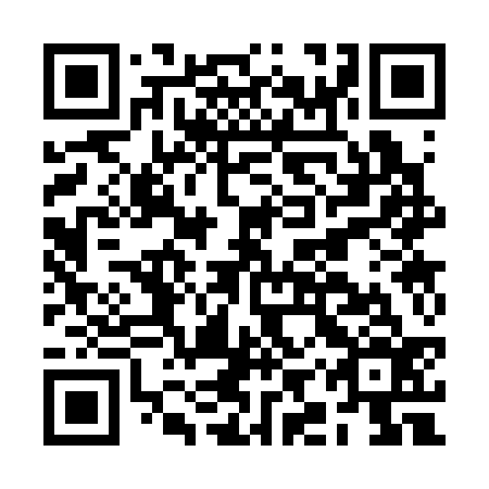 QR code for BIS336