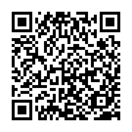 QR code for BIS380