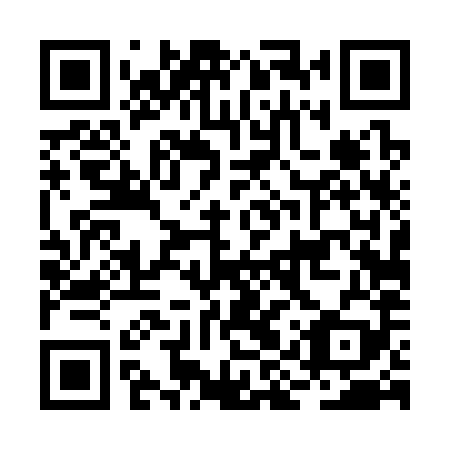 QR code for plate BIT 389