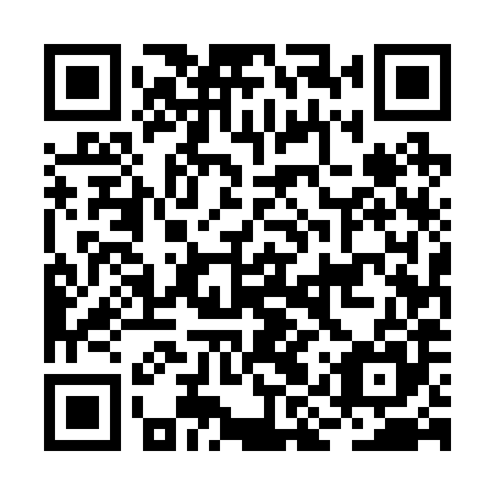 QR code for BIU 285