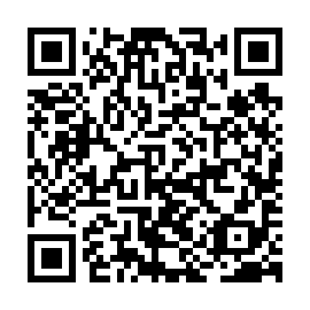QR code for plate BIV 698