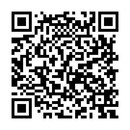 QR code for BIX 919