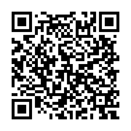 QR code for plate BIX 550