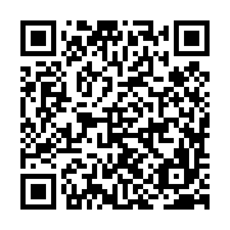 QR code for BIZ 496