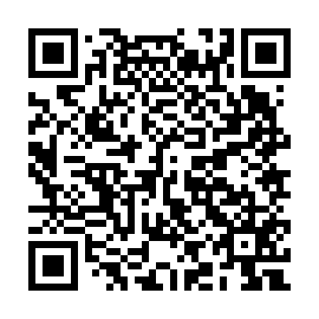 QR code for BIZ 655