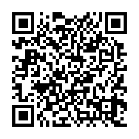 QR code for BJT339