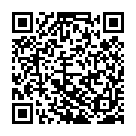QR code for BLG 493