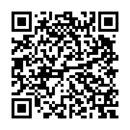 QR code for plate BLI 450