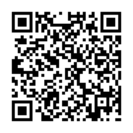 QR code for plate BLM 298