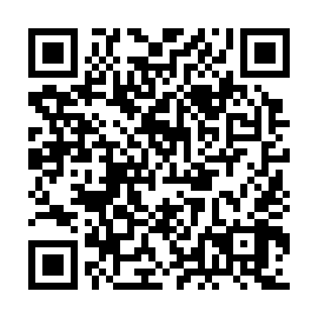 QR code for plate BLN 348