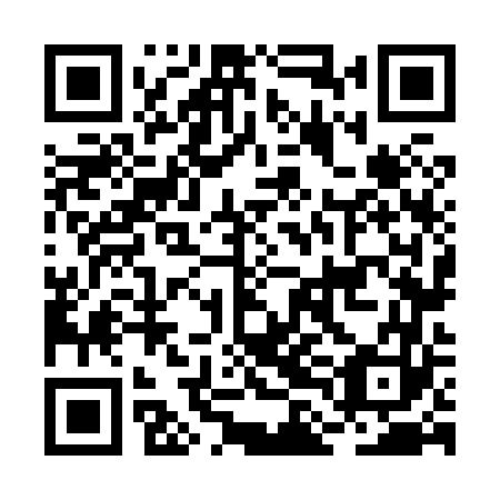 QR code for plate BLN 863