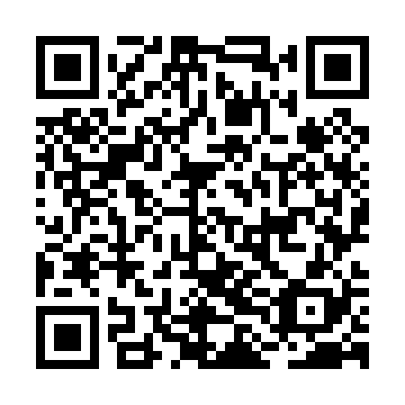 QR code for BLO 028