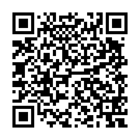 QR code for BLO 498