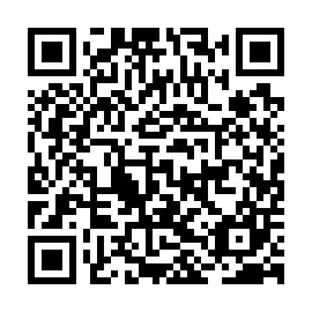 QR code for plate BLQ 707