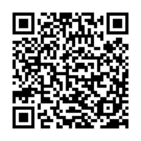QR code for plate BLR 441