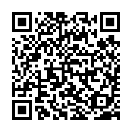 QR code for plate BLR 699