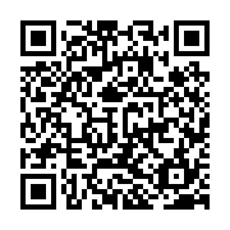 QR code for plate BLV 234