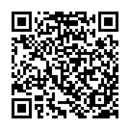 QR code for BMA 383