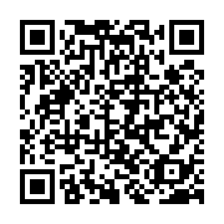 QR code for BMF 538
