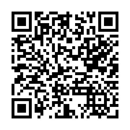QR code for plate BMF 336