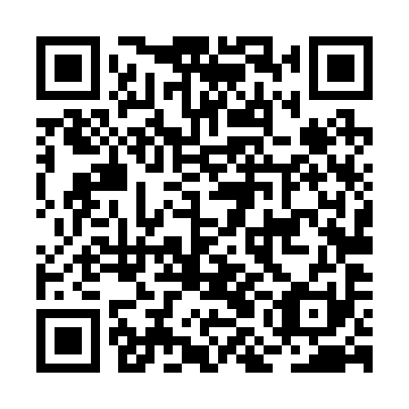 QR code for BML291