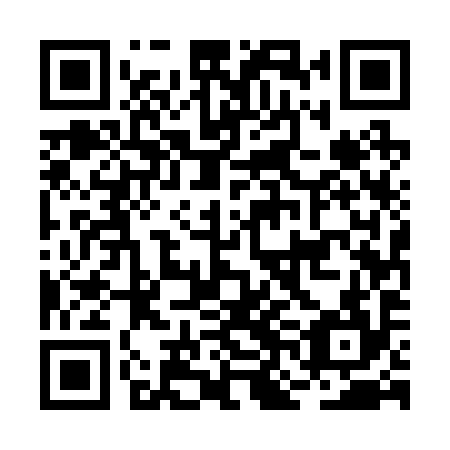 QR code for plate BNE 294