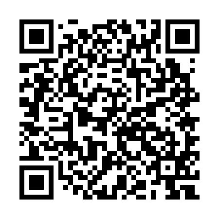 QR code for plate BNE 395
