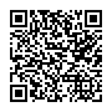QR code for BNF 379